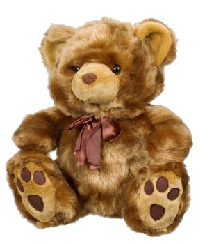 Toy brown soft bear on a white background