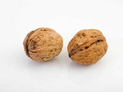 Two nuts laying beside on a white background