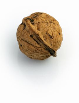 Nut on a white background
