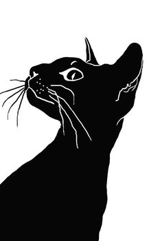 silhouette of the head of a cat, a black silhouette, white background, pet