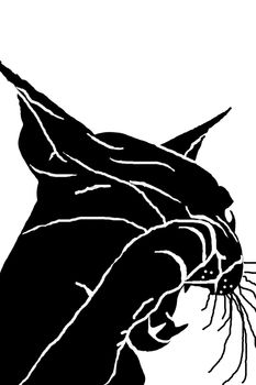 Silhouette of the head of a cat, a black silhouette, white background, pet