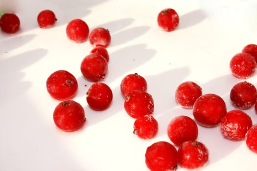 Berries red currants, useful berries, juicy berries, fresh currants