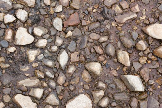 Stony ground on coast of lake