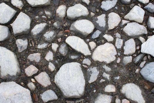 Stony ground on coast of lake