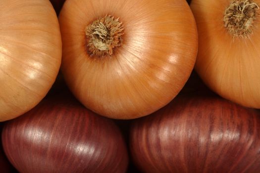 Macro image of white and red onions.
