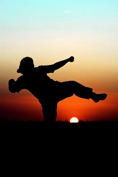Silhouette of person performing martial arts in front of  beautiful sunset