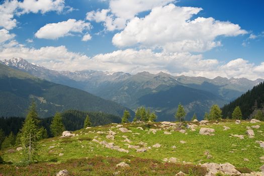 summer panorama of Val di Sole, Trentino Italy