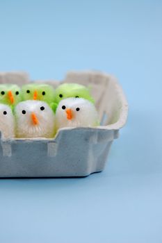 Two easter chicks on blue background
easter chicks on blue background