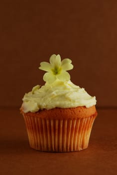 Cupcake with flower on top