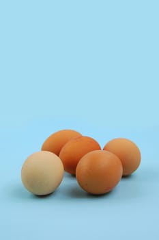 eggs on blue background