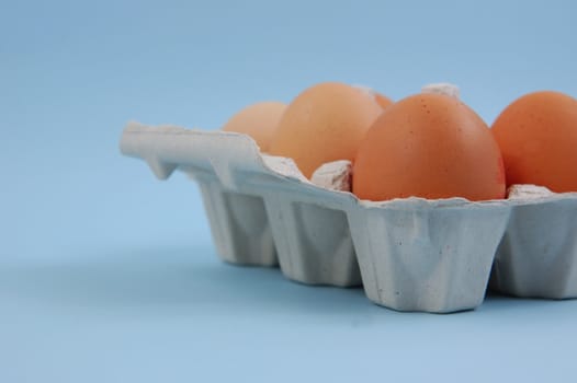 Eggs in paper carton
eggs on blue background