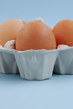 Eggs in Carton
eggs on blue background