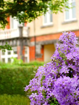 Red Brick house with mature garden, shallow dof