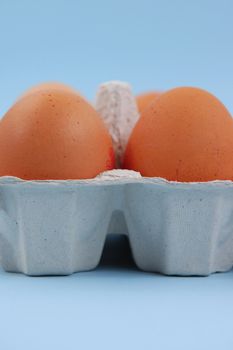 Pair of eggs in carton
eggs on blue background