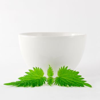 White porcelain bowl with fresh nettle leaf