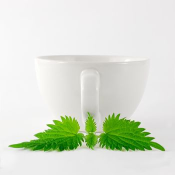 White china mug with nettle leaf in front of it