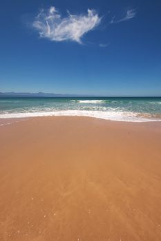 Vertical shot of beach in South Africa on a sunny day