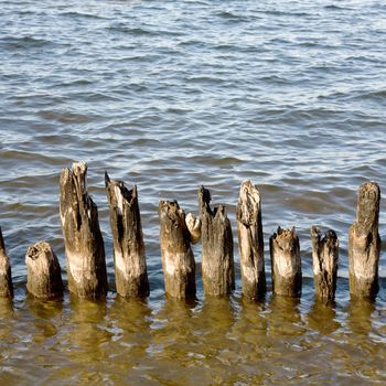 Old rotten columns in lake