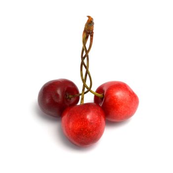 Three berries of a sweet cherry on a white background