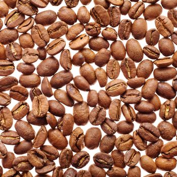 The fried coffee grains scattered on a white background