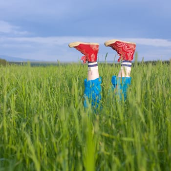 Legs, in a green grass under the blue sky
