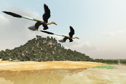 Two Microraptor dinosaurs fly over a wetland marsh in prehistoric times.