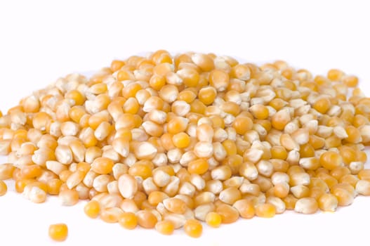 corn, isolated on white