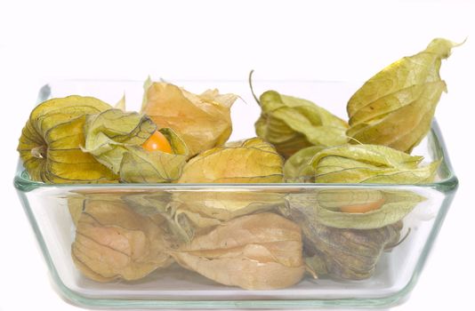 close-up of a glass bowl full of physallis, isolated on white