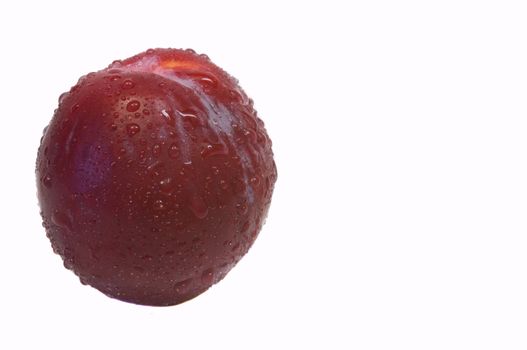 close-up on a ripe south african plum, in the spring, isolated on white