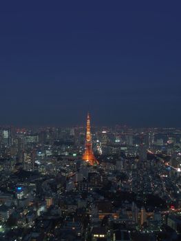 a view of tokyo from above at dusk