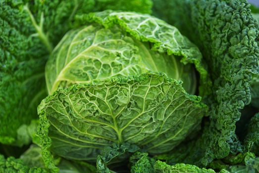 Photo of green cabbage's head with leafs 