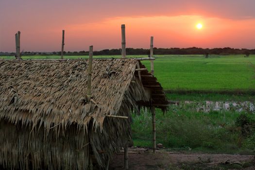 Sunrise in a poor Cambodian village just outside Siem Reap.
