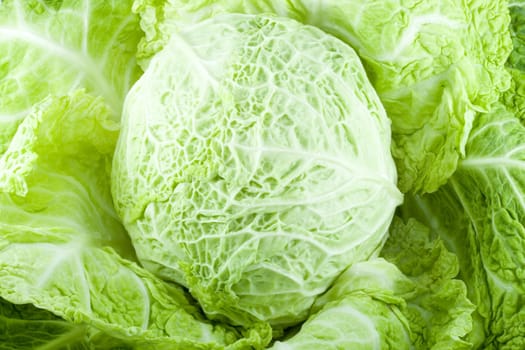 a piece of green cabbage - vegetable - detail