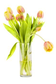 a vase, made of glass with colorful tulips