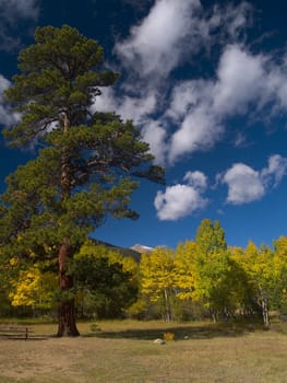 Near Endovalley Picnic Area, Rocky Mountain National Park.