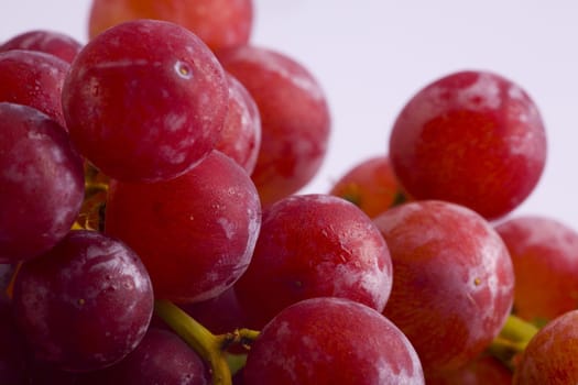 A close up image of red grapes connected to a stem