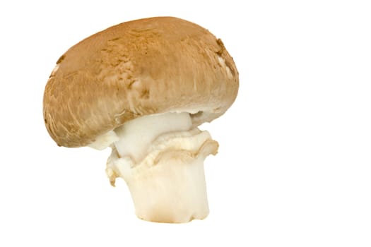 a chestnut mushroom, isolated on a white background