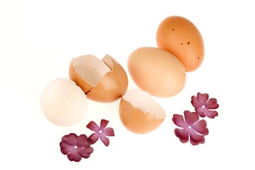 two boiled egg and eggshells on a white background