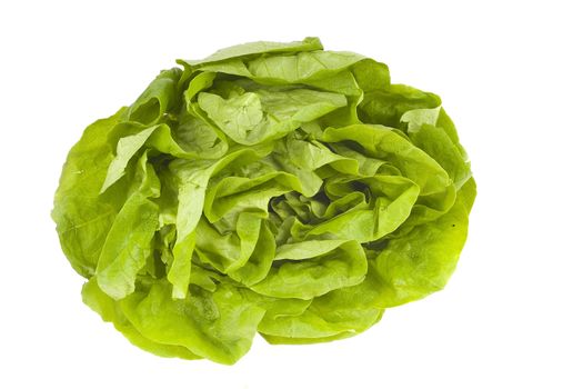 fresh and healthy lettuce on a white background