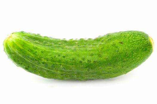 One green cucumber on a white background.