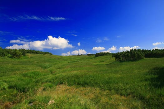 mountain landscape, beautiful summer weather, blue sky