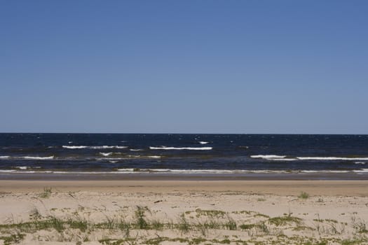 Lonely wild beach in Latvia
