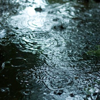 Rain drops rippling background