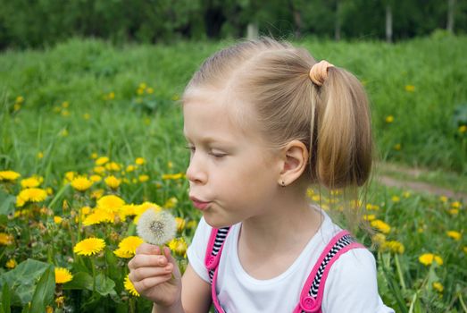 girl with dandelion.Little girl blowing dandelion with flying seeds.