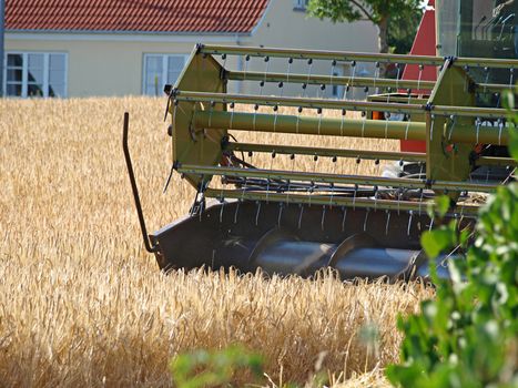 Big Combine in a wheat field in harvest time       