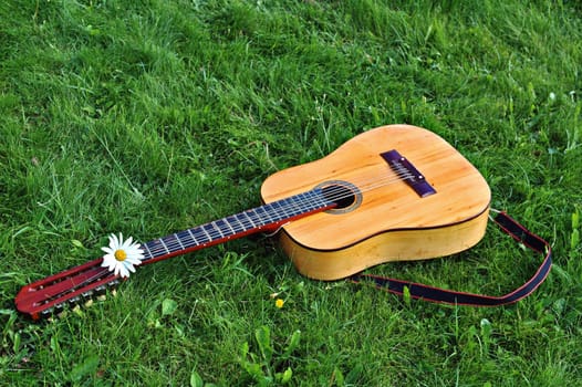 12-string old guitar on a green lawn after a concert