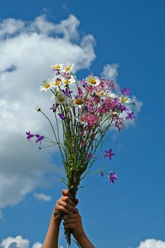 Bouquet of field flowers in hands of the child. 