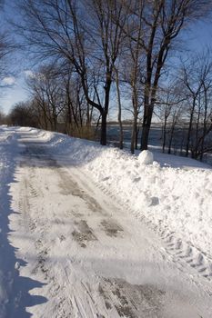 sunny winter landscape  with trees and trails