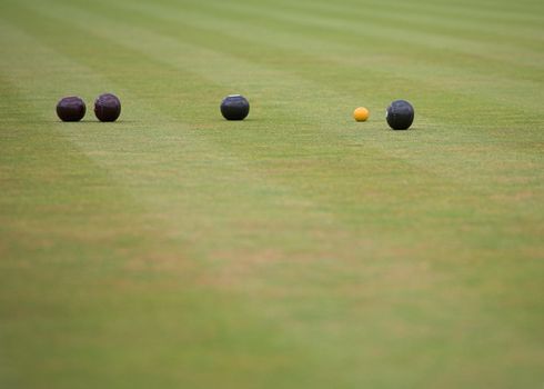 A game of lawn bowls showing woods and the jack.
