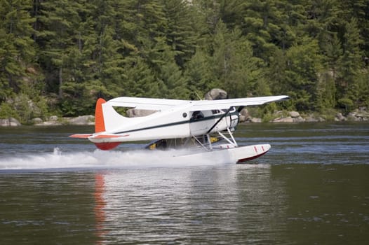 White water plane landing on a river